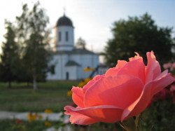 OvidiuMihail 
Zamfira Monastery 
2008-09-23 18:57:55