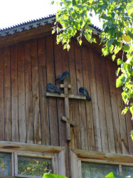 Максим 
Голуби 
2008-09-30 19:20:15