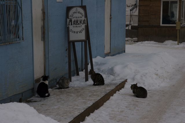 Очередь