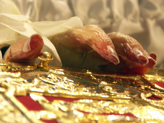 The hand of the Patriarch/ Mana Patriarhului