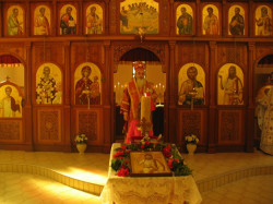 Radivoj 
МОЛИТВА 
2008-10-02 12:05:16