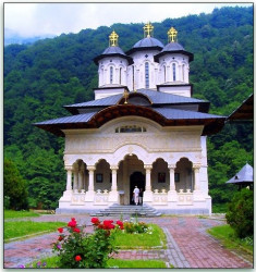 Florina 
Sfanta Manastire Lainici 
219 
2008-10-09 21:26:19