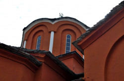 iliana 
Catholicon 
2008-10-22 22:52:44