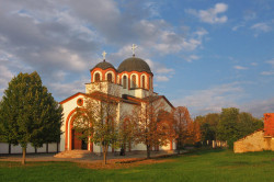 Zoran Sremski 
Степановићево - Stepanovicevo 
2008-10-24 23:42:52