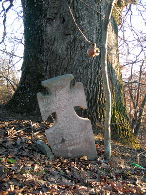 Zavetina