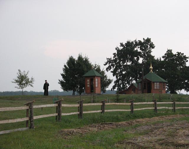pośród dębów