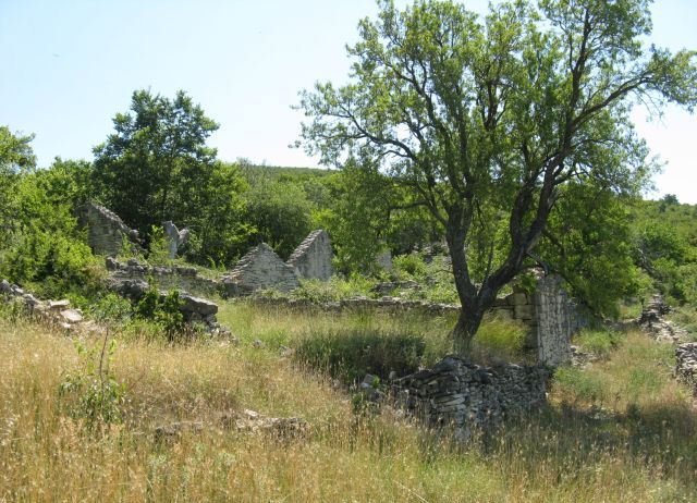 Nekad topli pravovjerni dom
