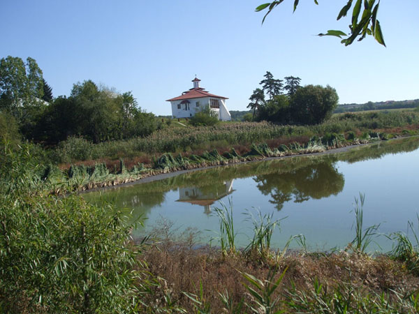 La Cernica...