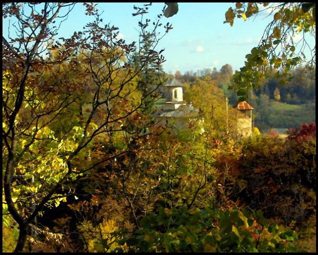 Arnota