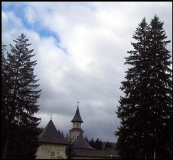christian 
Putna 
2008-11-01 13:03:29