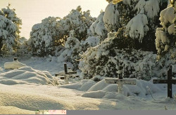 thiv_col_Athos 
Σταυροί στο χιόνι - Crosses in the snow 
2008-11-02 10:41:59