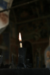 Anima_Mea 
 
2008-11-02 23:18:50