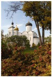 Valdemar 
Осень в России. Дмитров 
2008-11-10 09:49:30