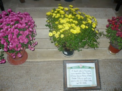 tzarualex 
 
2008-11-10 22:18:35