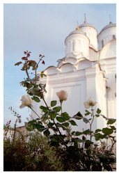 Valdemar 
Боровск. Вечереет... 
2008-11-13 10:18:17