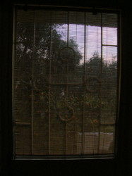 cedo 
 
2008-11-13 18:30:58