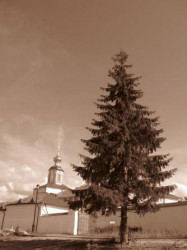 egor_gureev 
Iveron 
2008-11-19 17:31:48