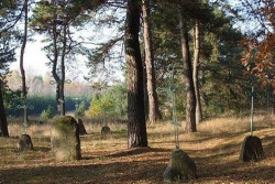 bargus 
cmentarz we wsi Dobrowoda z konca 1800r 
2008-11-20 18:17:29