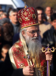 СаваД 
Епископ Ваљевски, господин Милутин 
2008-11-27 14:10:58
