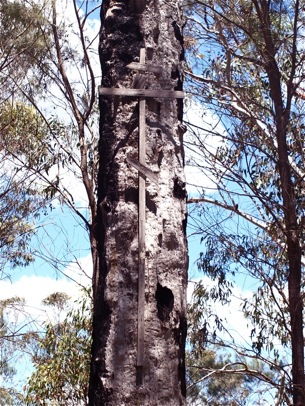 Protection from Bushfire