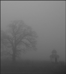 codre 
 
2008-12-02 19:23:14