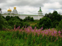 marinajournal 
Перед дождем. У стен Нового Иерусалима. 
2008-12-23 14:35:34