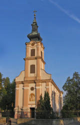 Zoran Sremski 
Врбас - Vrbas 
2008-12-24 23:19:07