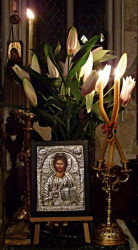 inistea 
Hristos între crini 
2008-12-27 21:56:39