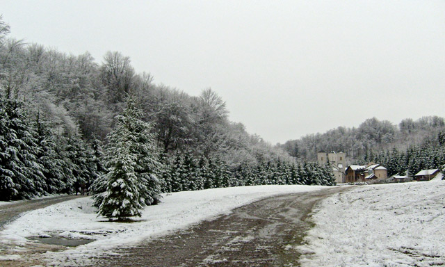 ка манастиру..../ towards a monastery