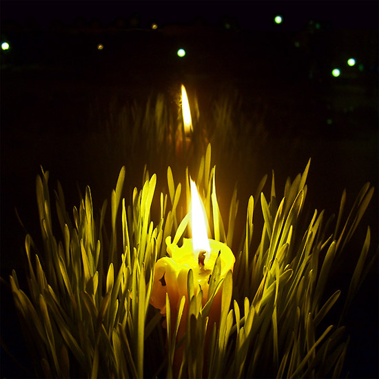 silent night... / ноћ тиха