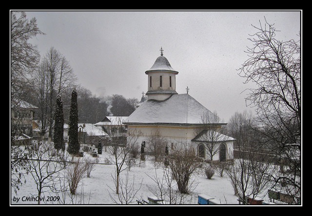 Winter
