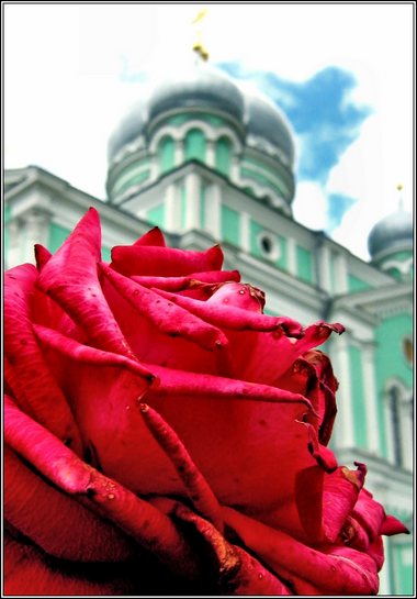 Blooming faith...