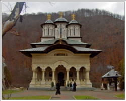 Florina 
Sfanta Manastire Lainici | Peisaj de toamna 
161 
2009-01-04 19:51:21