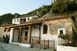 Anima_Mea 
 
2009-01-07 20:09:44