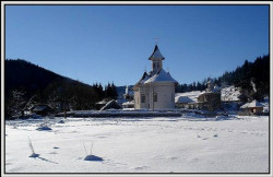 Asiral 
~Sihastria Putnei~ 
2009-01-12 09:22:29