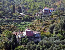 thiv_col_Athos 
Κελλιά στο αγιορείτικο δάσος - Kellia in Athonite forest 
2009-01-18 09:48:51