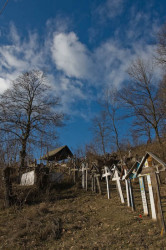 calugaru 
STEFANESTI - TARGU CARBUNESTI - GORJ 
2009-01-24 16:19:33