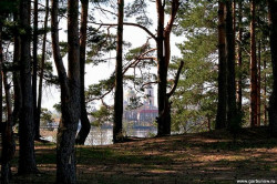 AlexG 
В сосновом лесу 
2009-01-25 15:40:21
