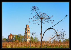 VladiN 
Temples in no needs, fields in weeds (Храмы в руинах, поля в будыльях) 
144 
2009-01-27 18:30:19