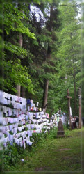AM 
 
2009-01-28 01:14:49