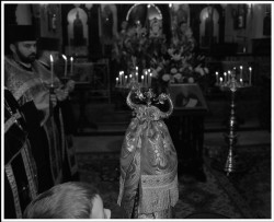 marcin__c 
πατερίτσα 
2009-01-31 18:05:05
