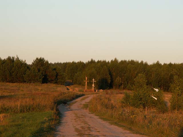 krzyże
