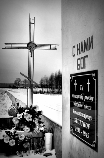 Ofiarom wojny...