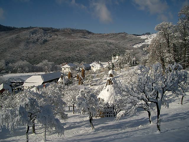 In ograda,Manastirea Frasinei