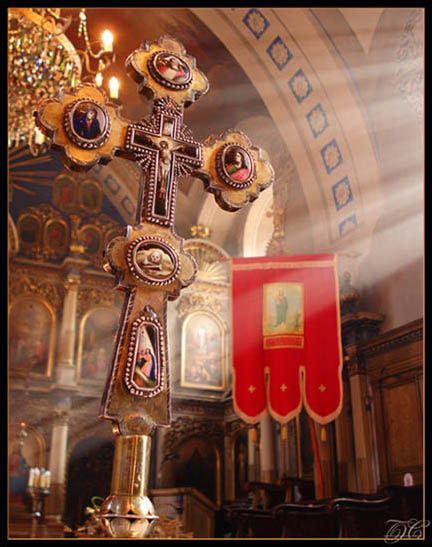 Светлост