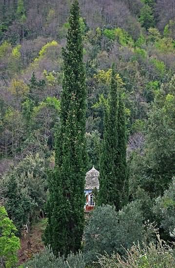 Παρεκκλήσι και κυπαρίσσια - Chapel and cypress trees