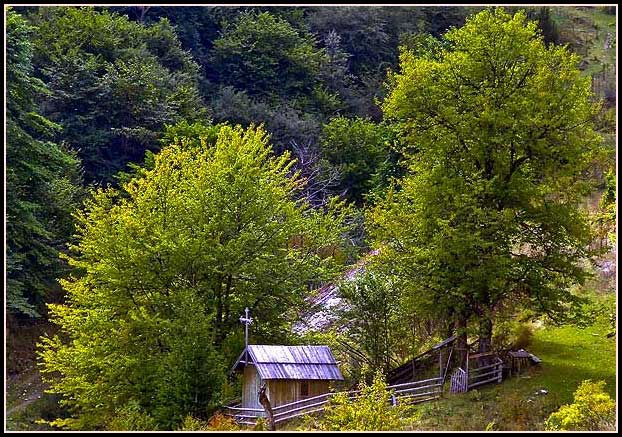 Wooden Church