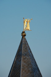 solo 
... 
2009-02-05 02:39:00