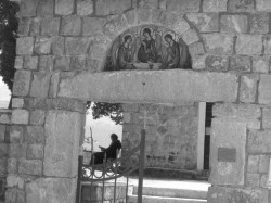 evaphoto 
*** 
2009-02-05 15:54:12