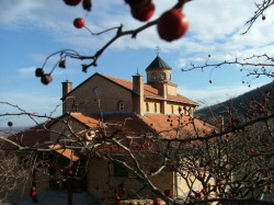 + Stradanija + 
пролећни дан у зимско време 
2009-02-07 17:38:33